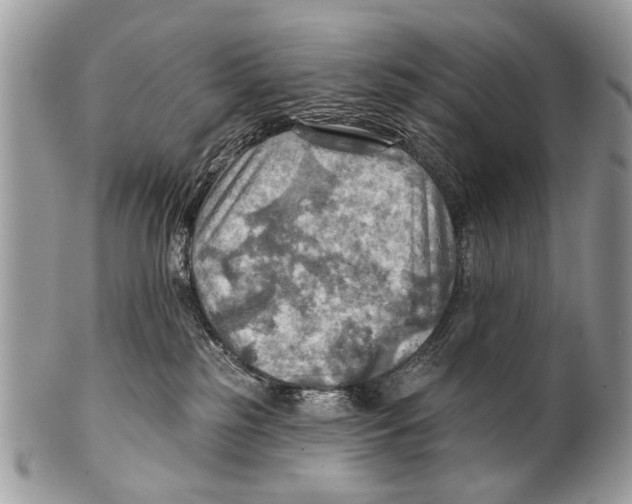 X0000101160185200807251119