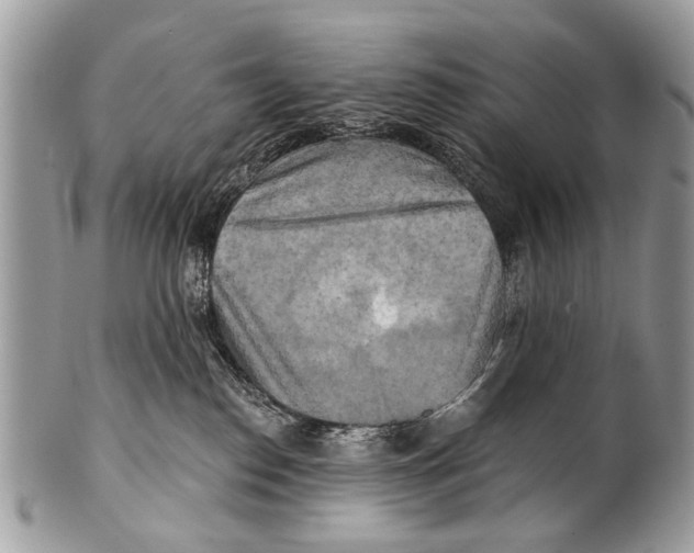 X0000101160186200807251119