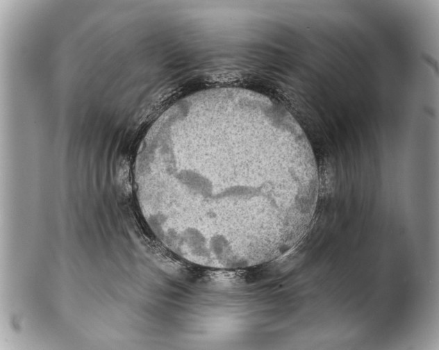 X0000101160187200807251119