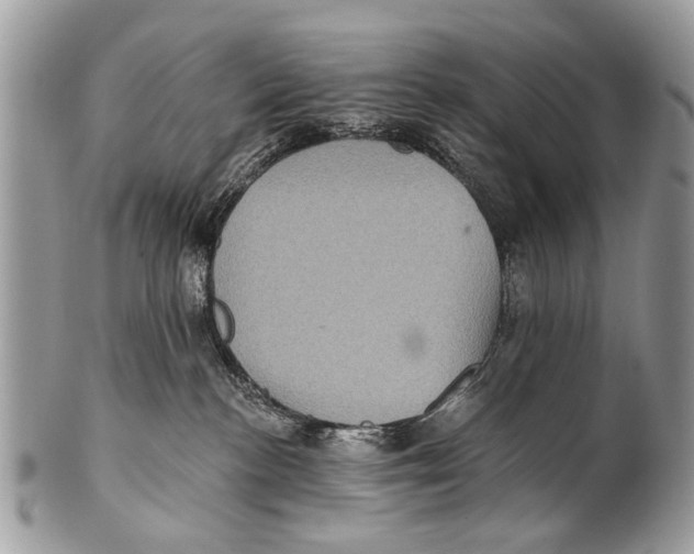 X0000101160188200807251119