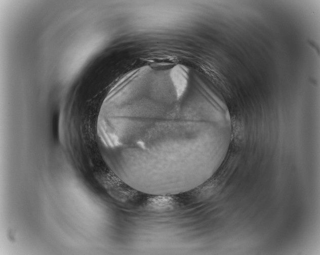 X0000101160189200807251119