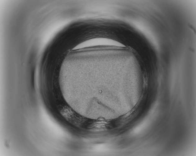 X0000101160190200807251119