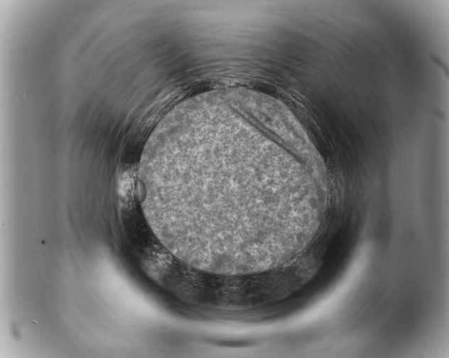 X0000101160191200807251119