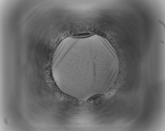 X0000101160192200807251119
