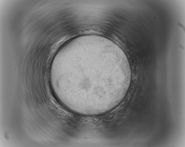 X0000101160193200807251118
