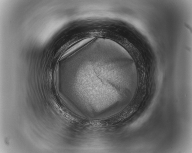 X0000101160194200807251118