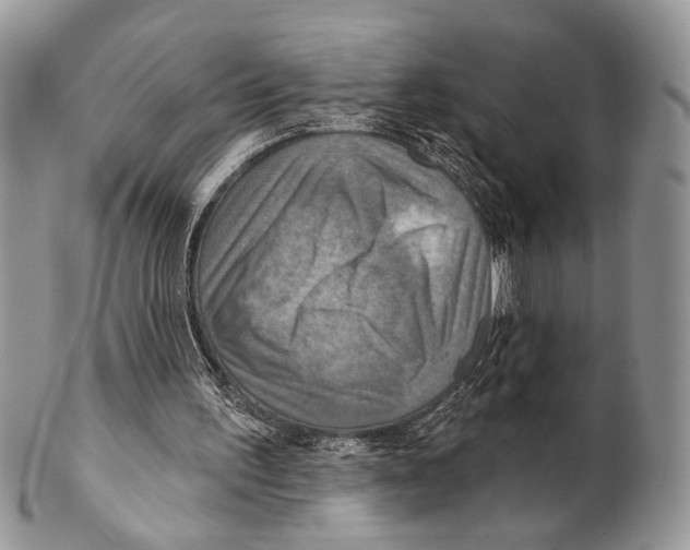 X0000101160195200807251118