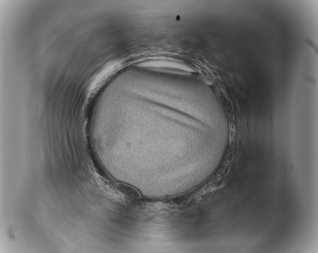 X0000101160197200807251118