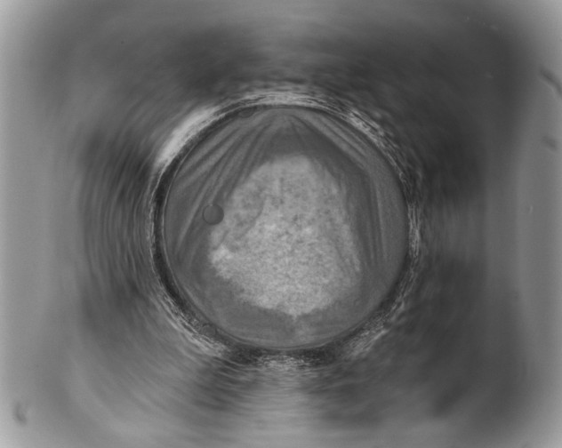 X0000101160199200807251118