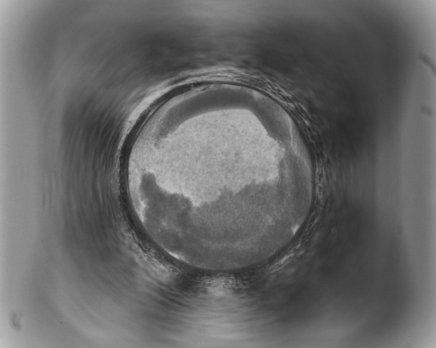 X0000101160200200807251118