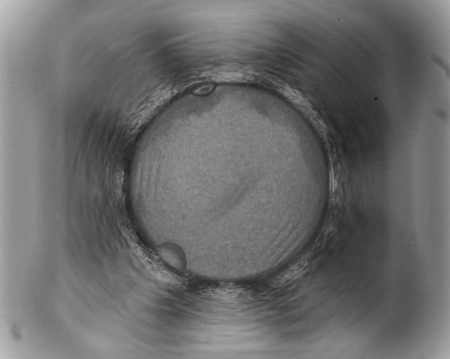 X0000101160201200807251118