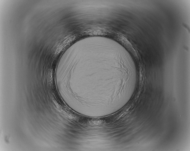 X0000101160202200807251118