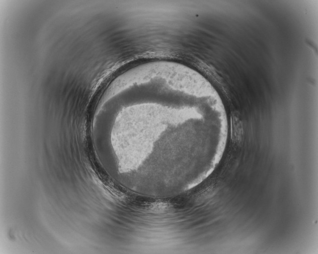 X0000101160204200807251118