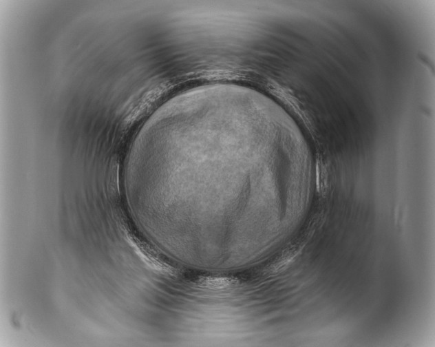X0000101160205200807251118