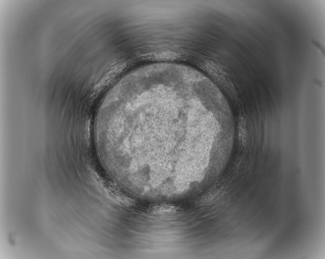 X0000101160206200807251118