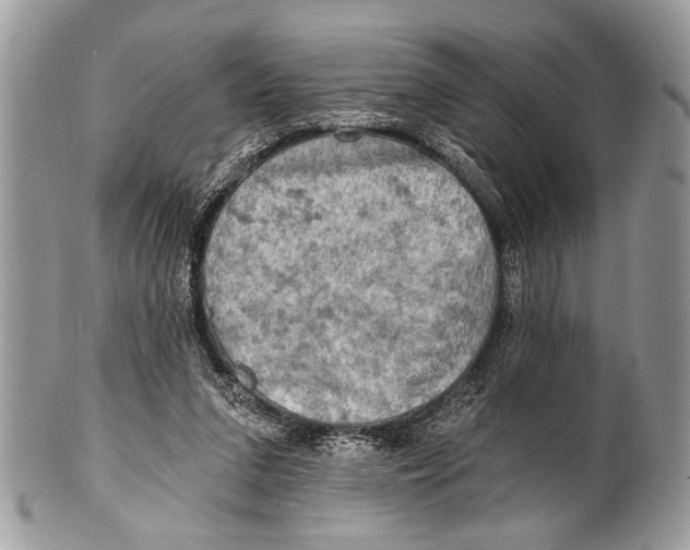 X0000101160207200807251118