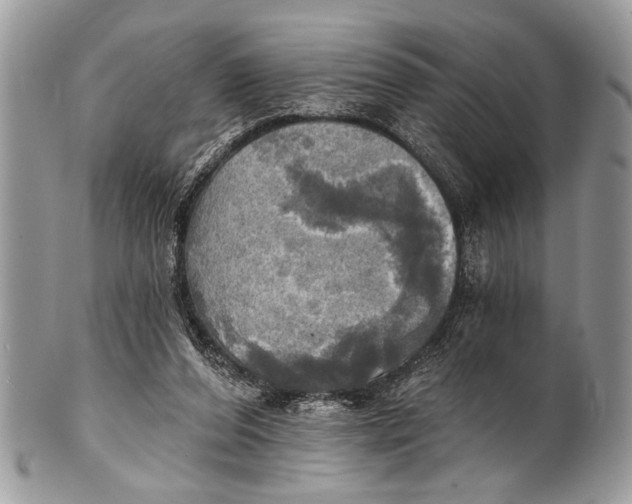 X0000101160208200807251118