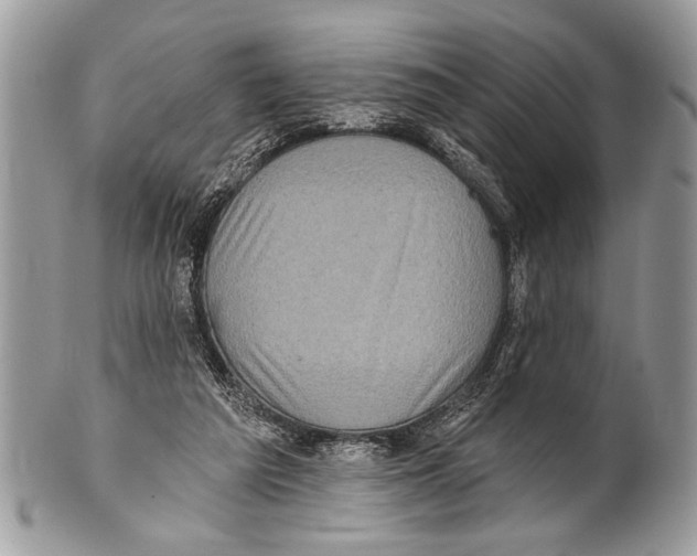 X0000101160209200807251118