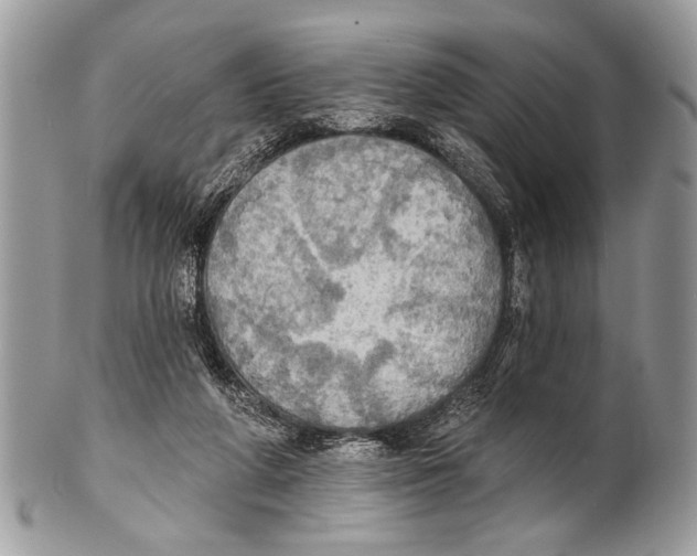 X0000101160210200807251118