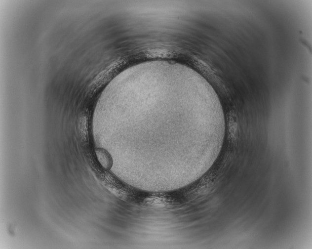 X0000101160211200807251118