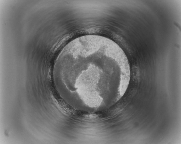 X0000101160212200807251118