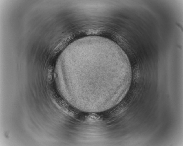 X0000101160215200807251118