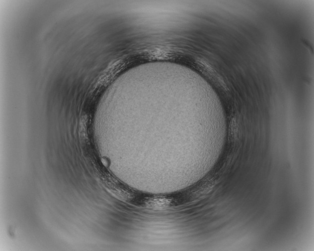 X0000101160217200807251118