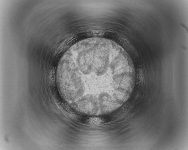 X0000101160218200807251118