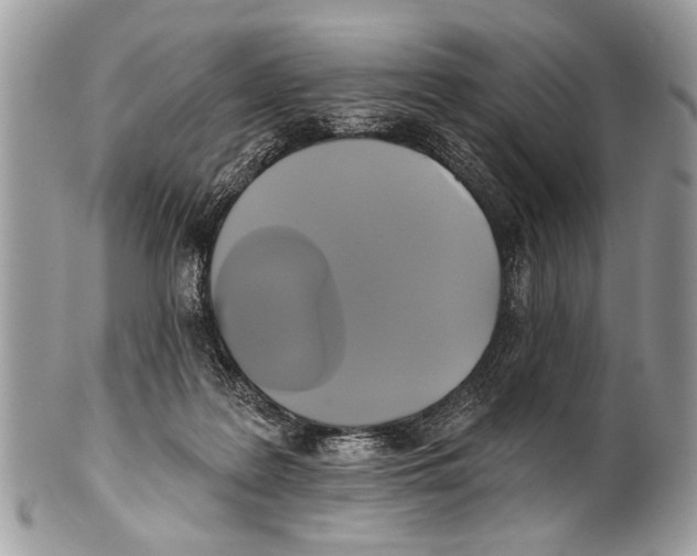 X0000101160219200807251118