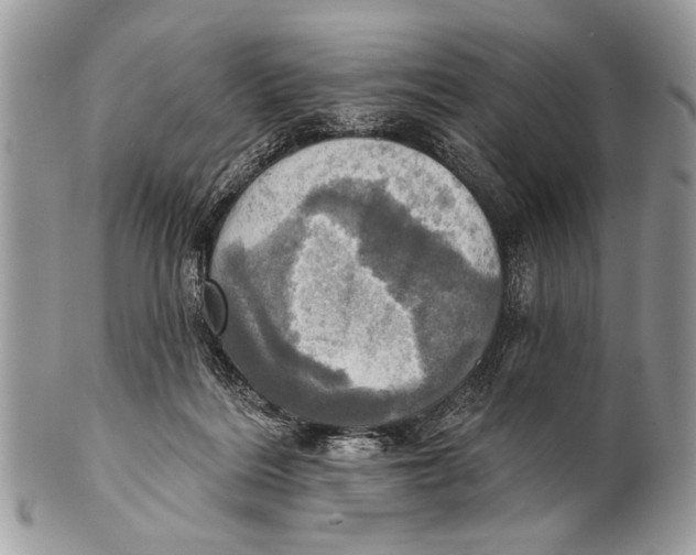 X0000101160220200807251118