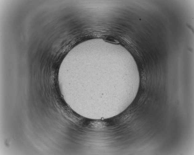 X0000101160221200807251118