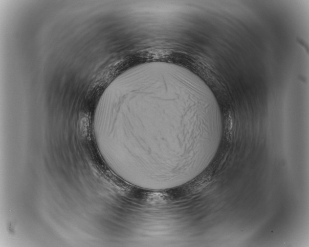 X0000101160222200807251118
