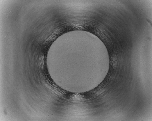 X0000101160223200807251118
