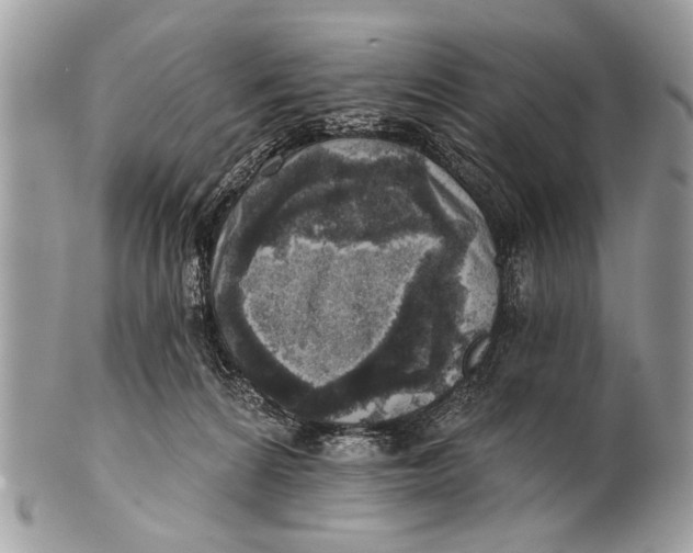 X0000101160224200807251118