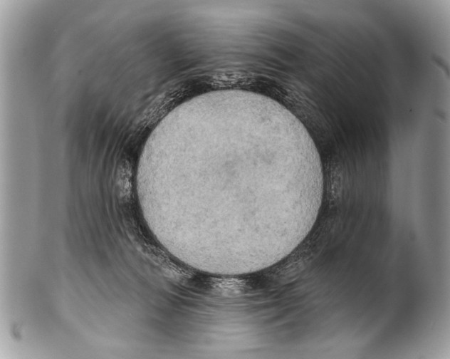 X0000101160226200807251118