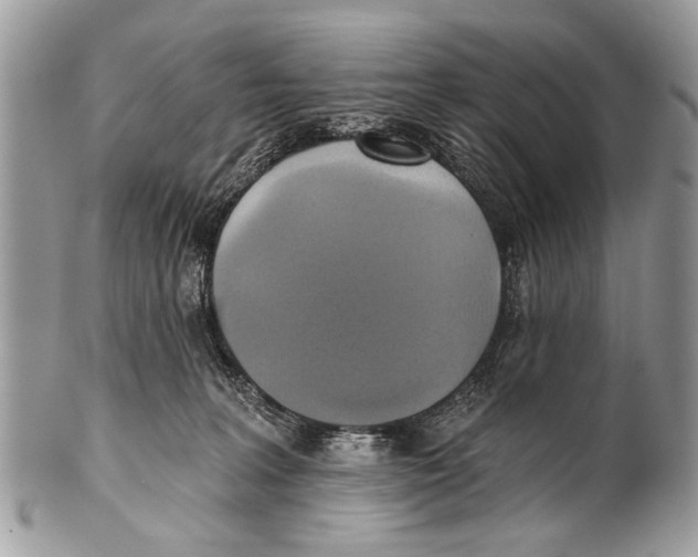 X0000101160227200807251118