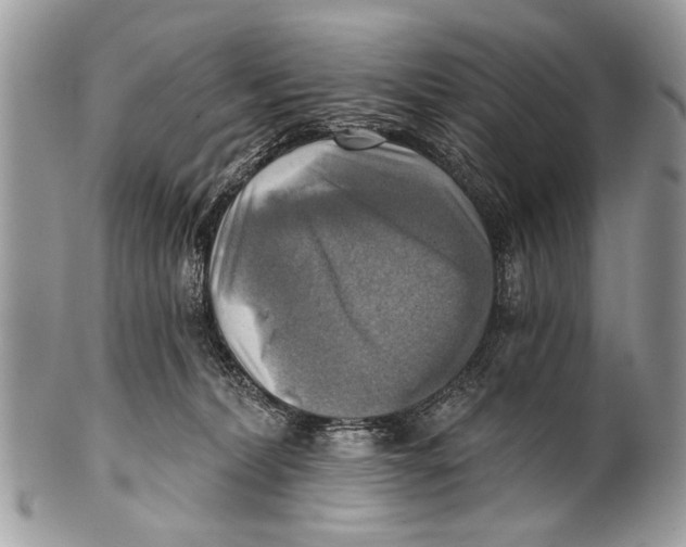 X0000101160228200807251118