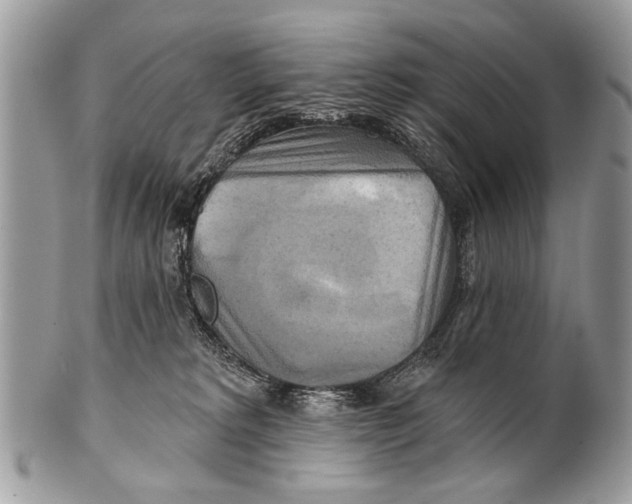 X0000101160229200807251118