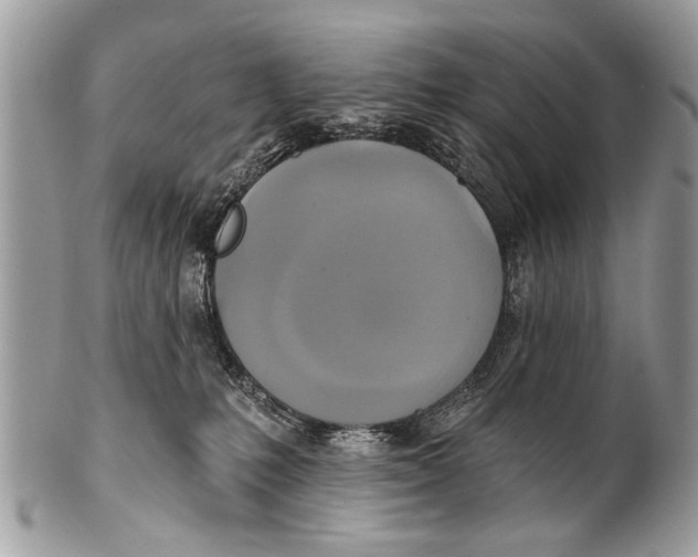 X0000101160231200807251118