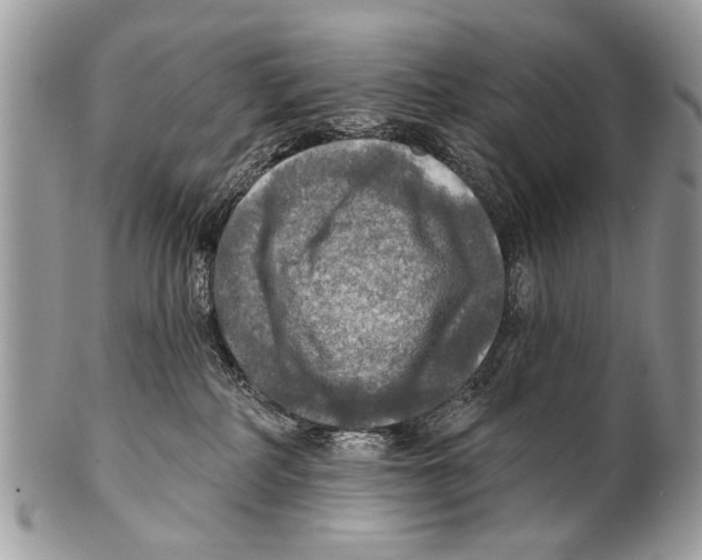 X0000101160234200807251117