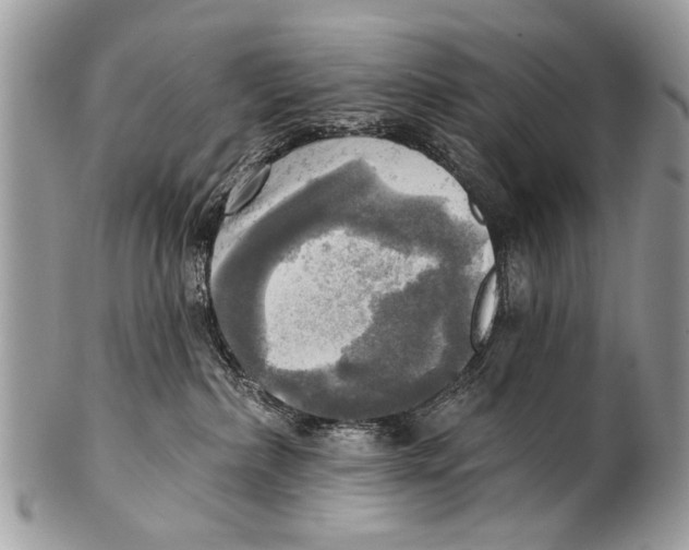 X0000101160236200807251117