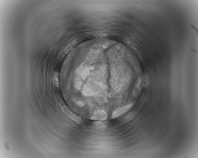 X0000101160238200807251117