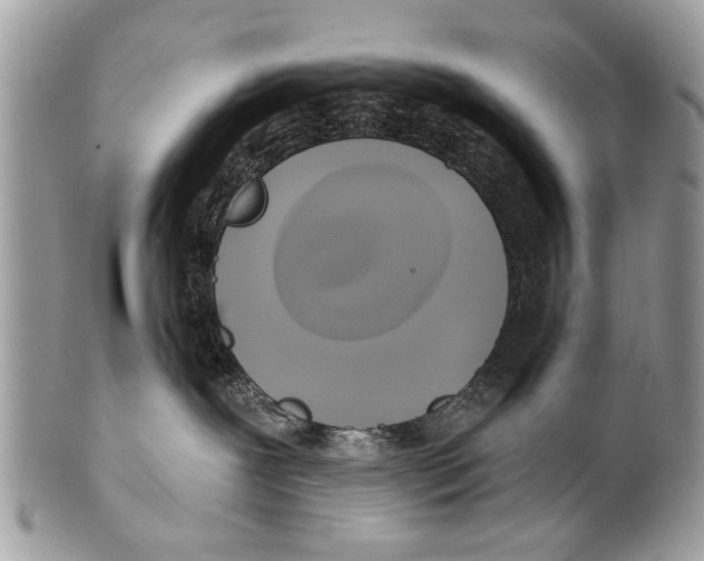 X0000101160239200807251117
