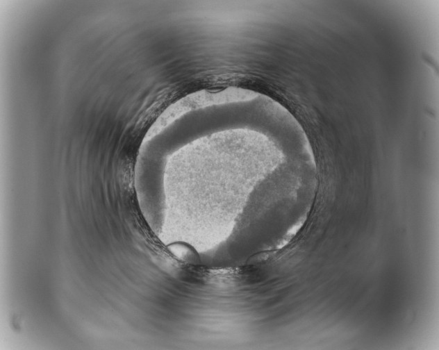 X0000101160240200807251117