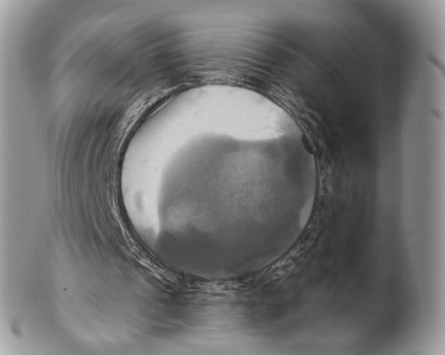 X0000101160241200807251117