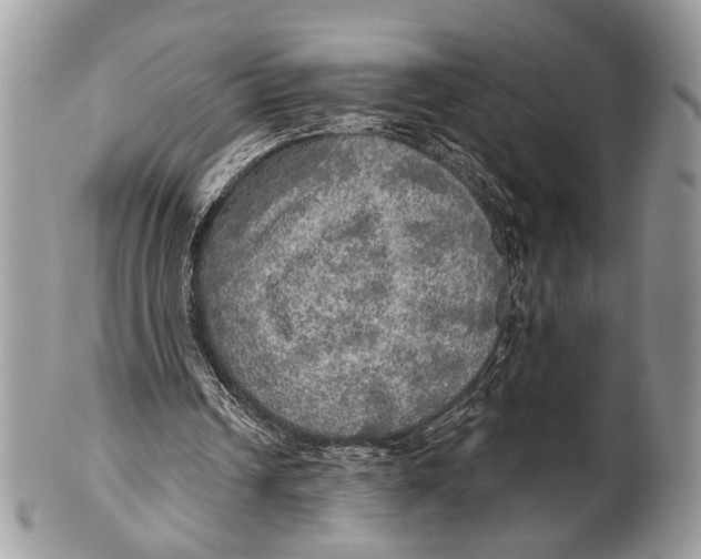 X0000101160242200807251117