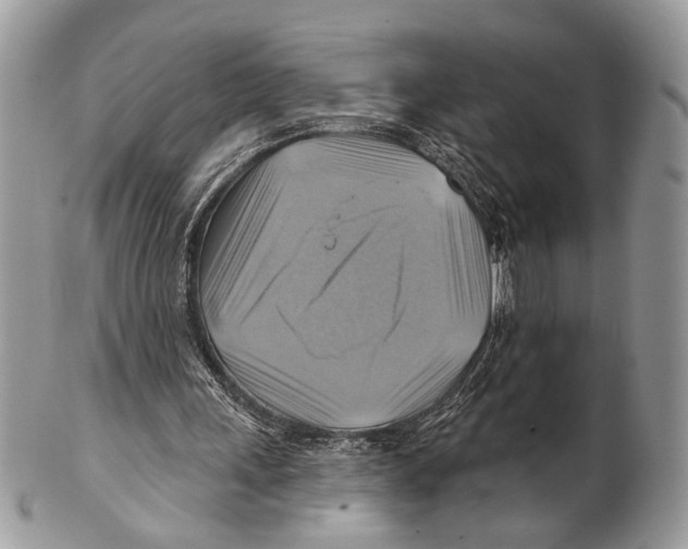 X0000101160243200807251117