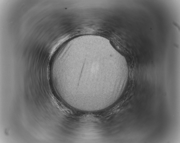 X0000101160244200807251117