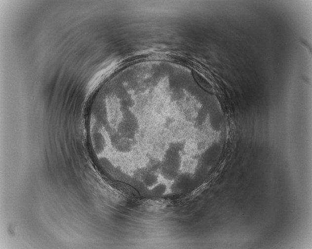 X0000101160245200807251117