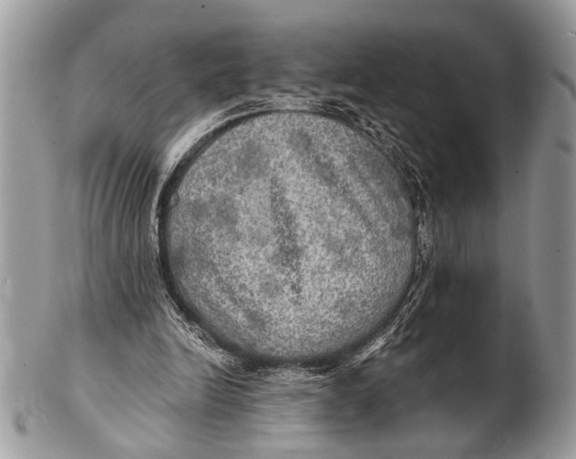 X0000101160246200807251117